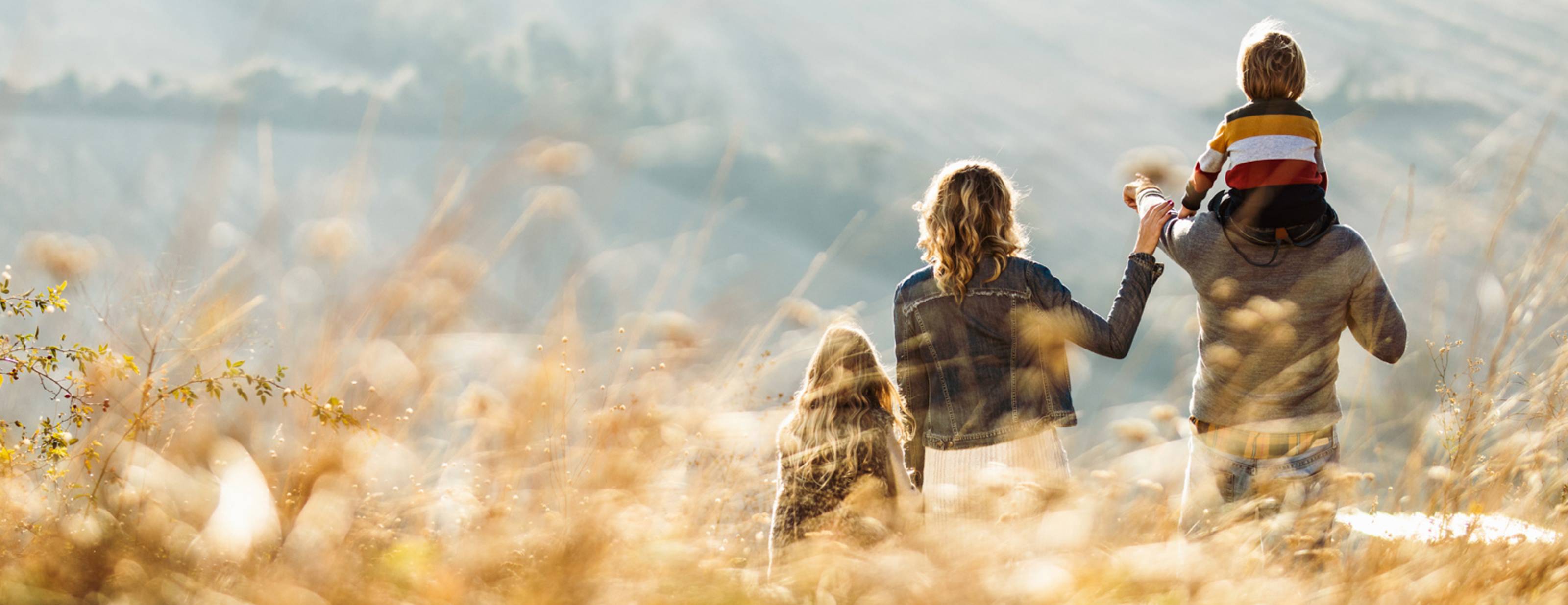 Shows family with kids playing in the fields.